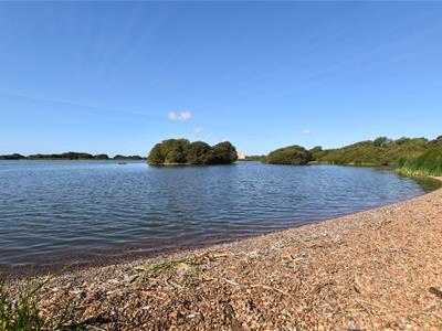 Picture 22